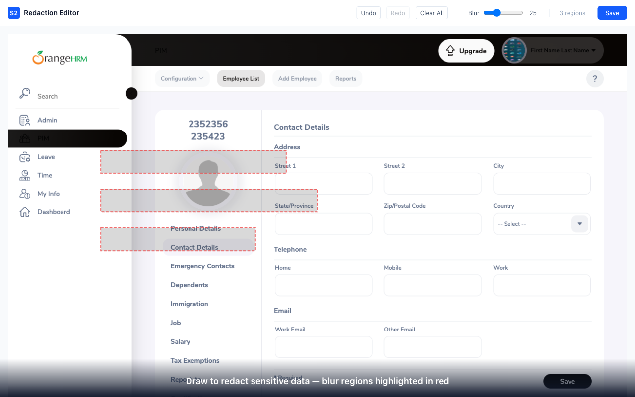 Editor — PII Blur Applied